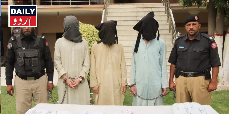 دہشتگردی