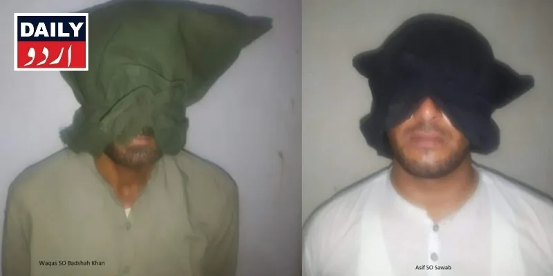 دہشتگردی