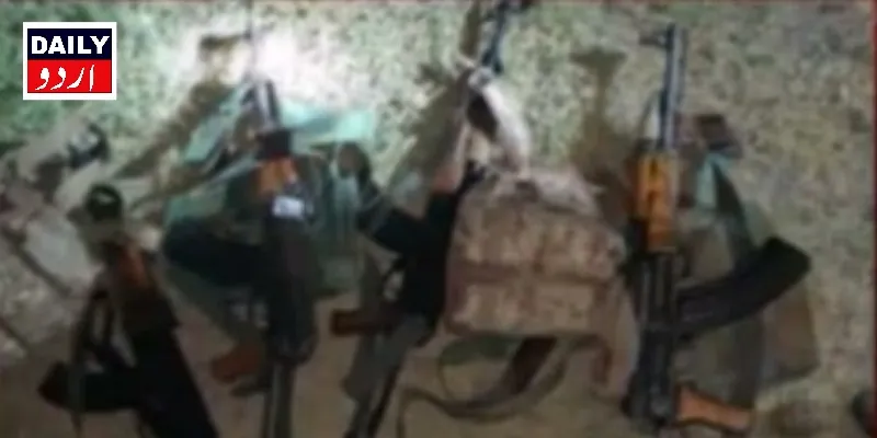 دہشتگردی