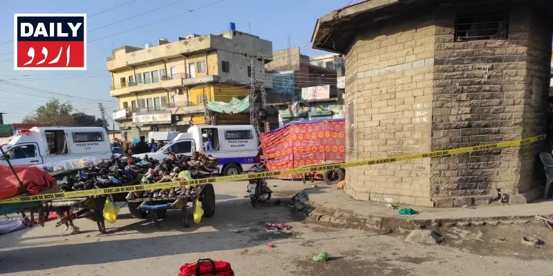 دہشتگردی