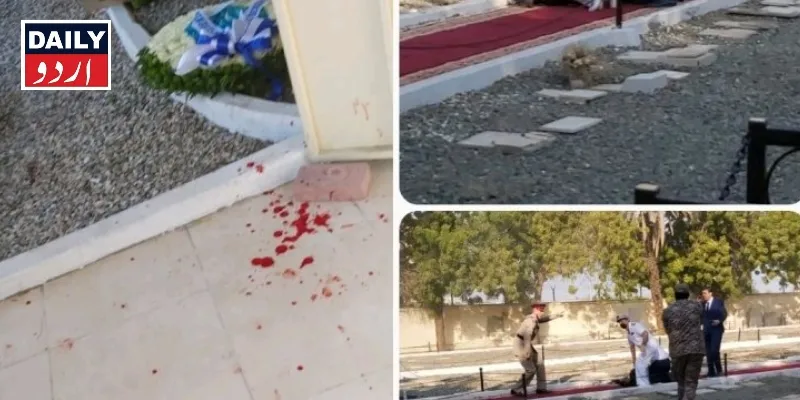 دہشتگردی