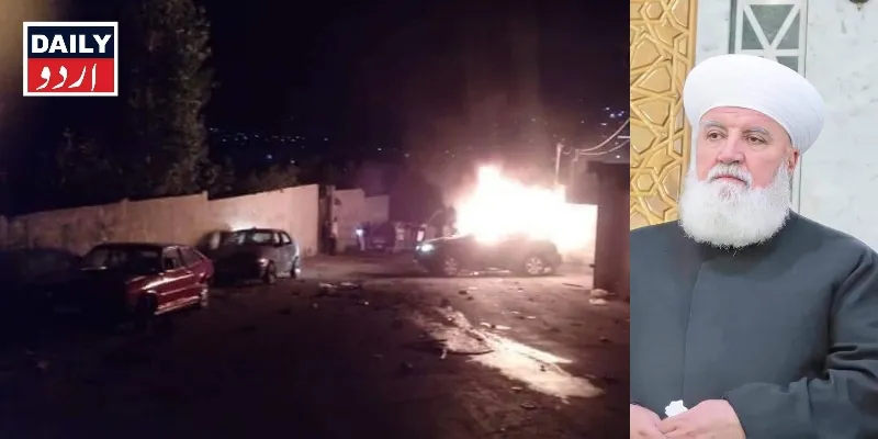 دہشتگردی