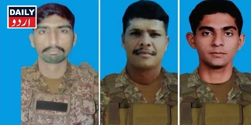 دہشتگردی