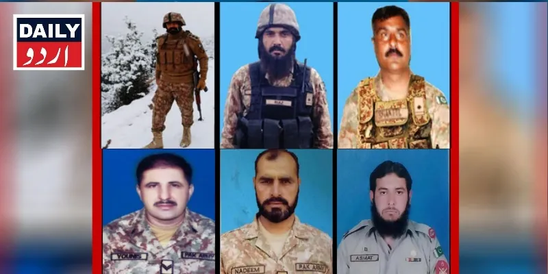 دہشتگردی