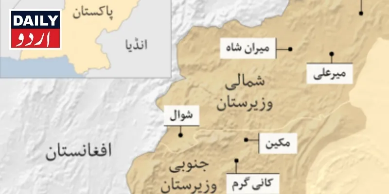 دہشتگردی