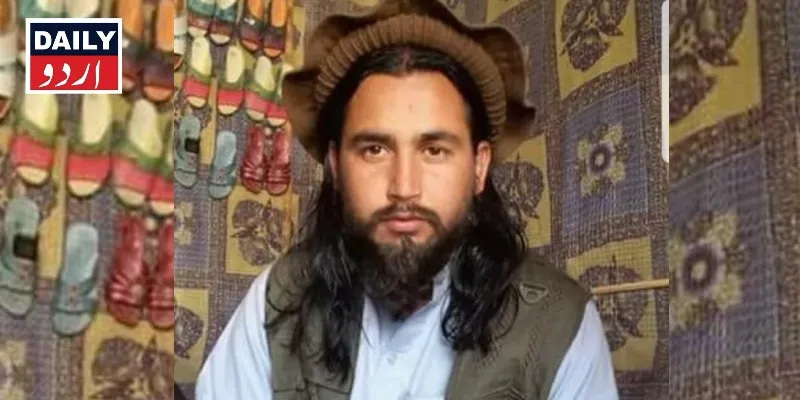 دہشتگردی