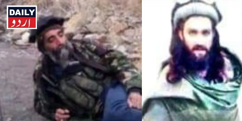 دہشتگردی