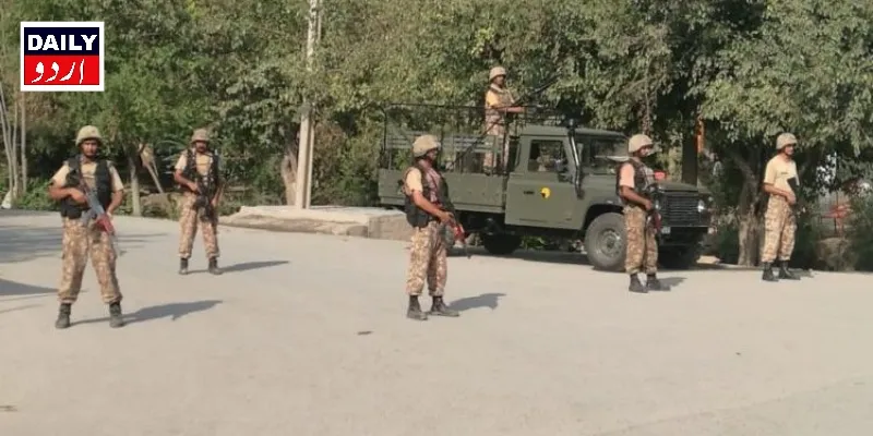 دہشتگردی