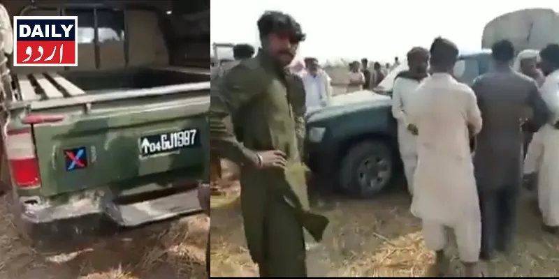 کرائمز