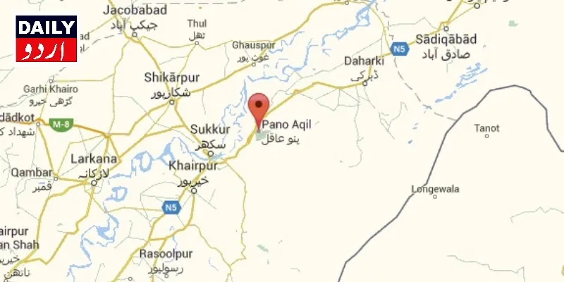 دہشتگردی