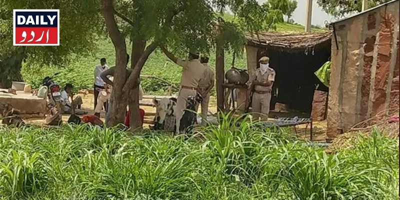 کرائمز