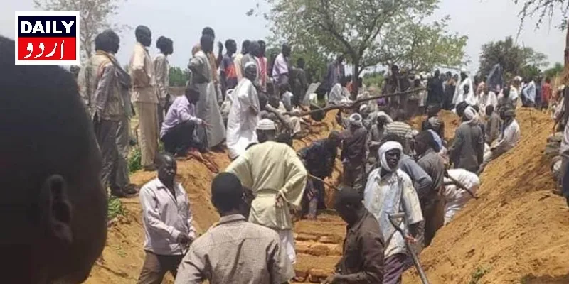 دہشتگردی