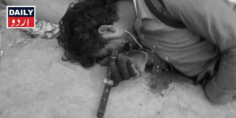 دہشتگردی