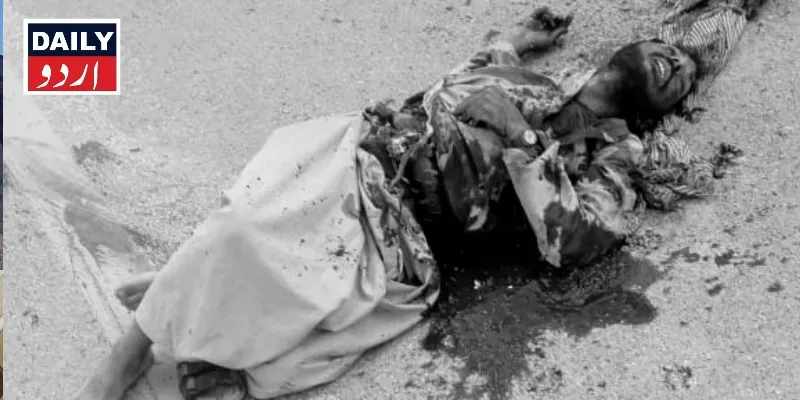 دہشتگردی