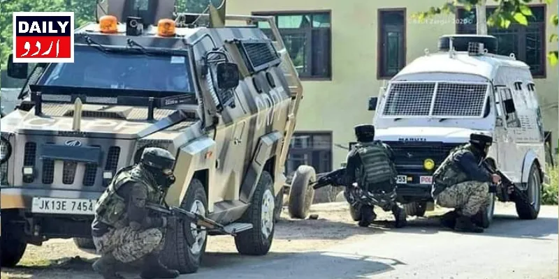 دہشتگردی