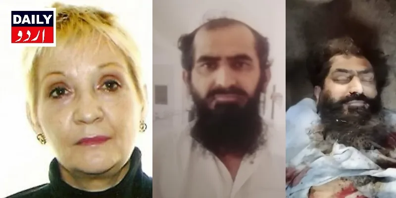 دہشتگردی