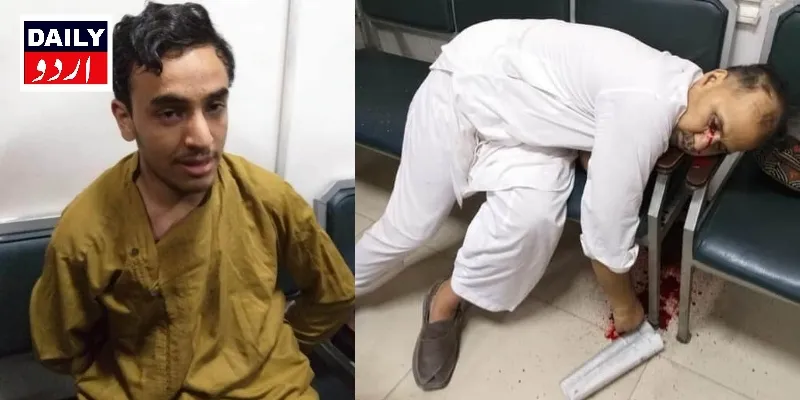 کورٹس