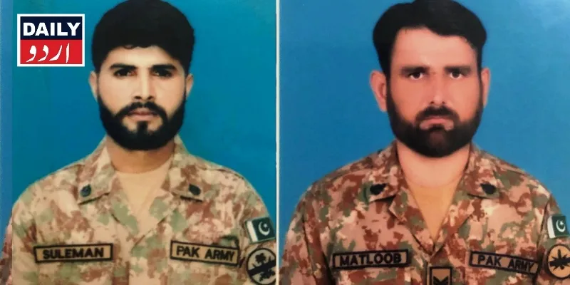 دہشتگردی