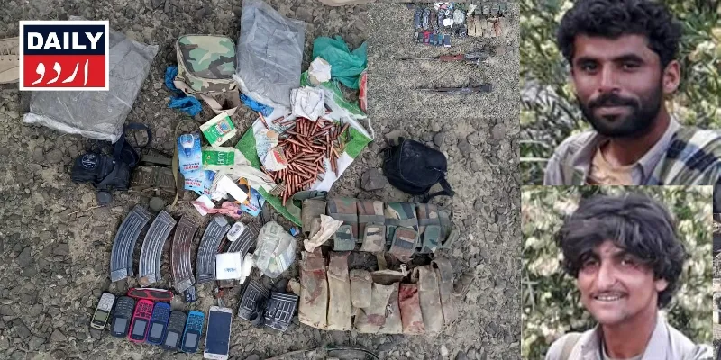 دہشتگردی