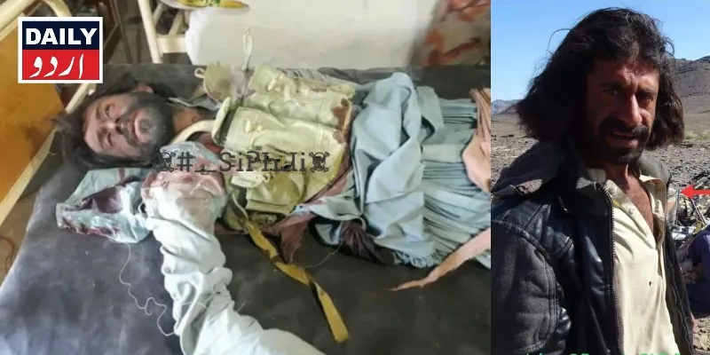 دہشتگردی
