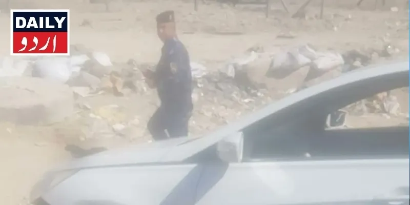 دہشتگردی