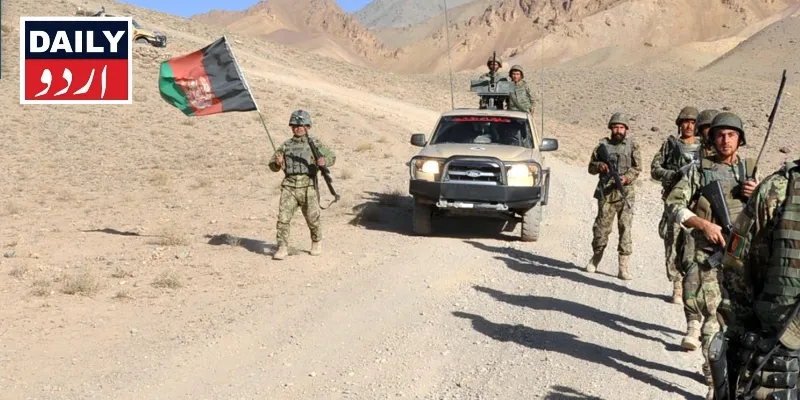 دہشتگردی