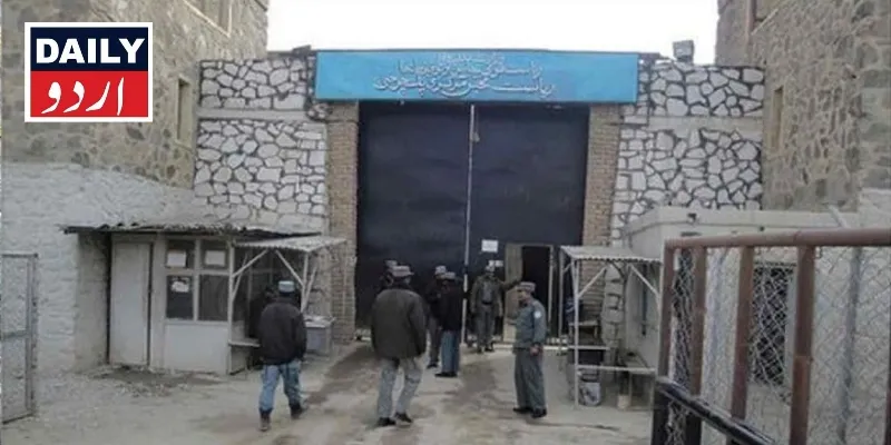 کرائمز