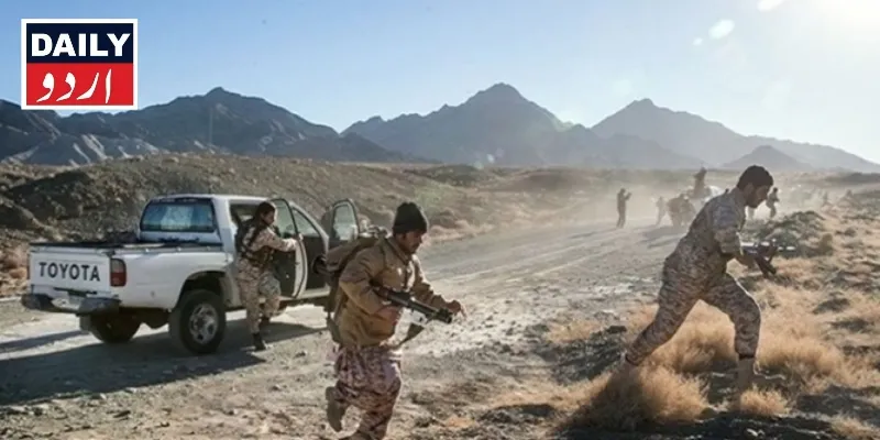 دہشتگردی