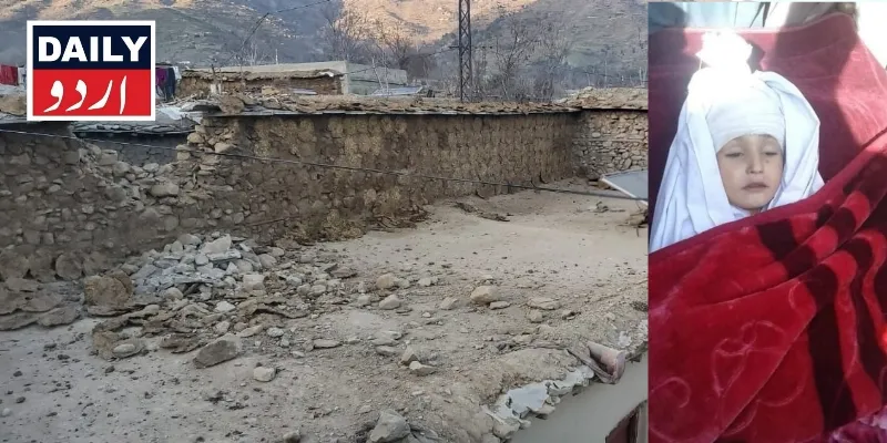 دہشتگردی