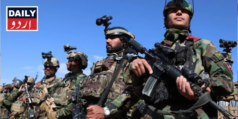 دہشتگردی