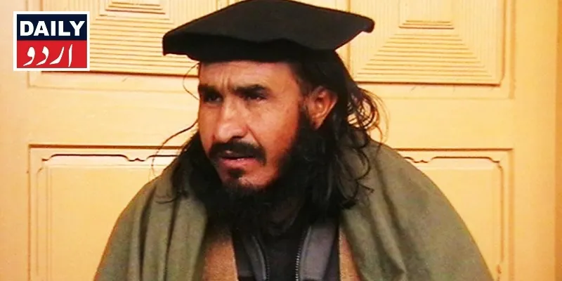 دہشتگردی
