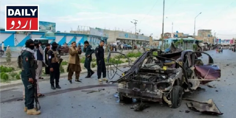 دہشتگردی