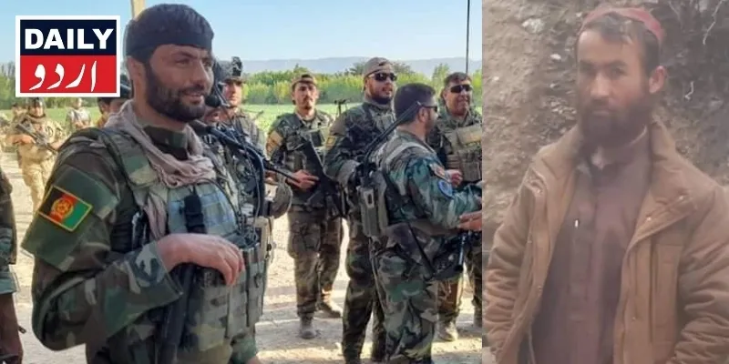 دہشتگردی
