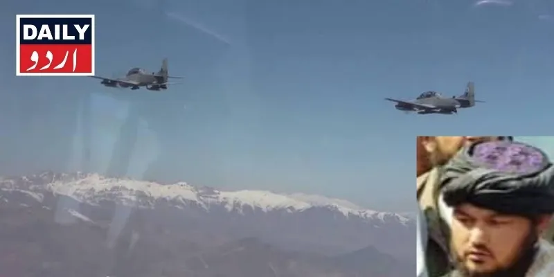 دہشتگردی