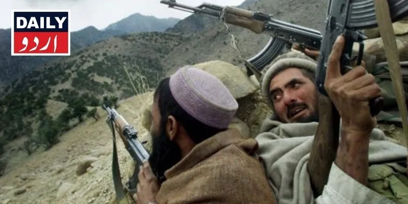 دہشتگردی