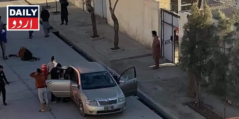 کورٹس