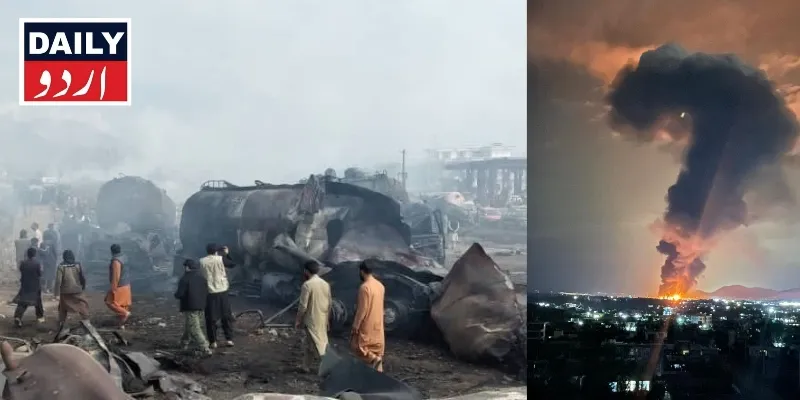 دہشتگردی