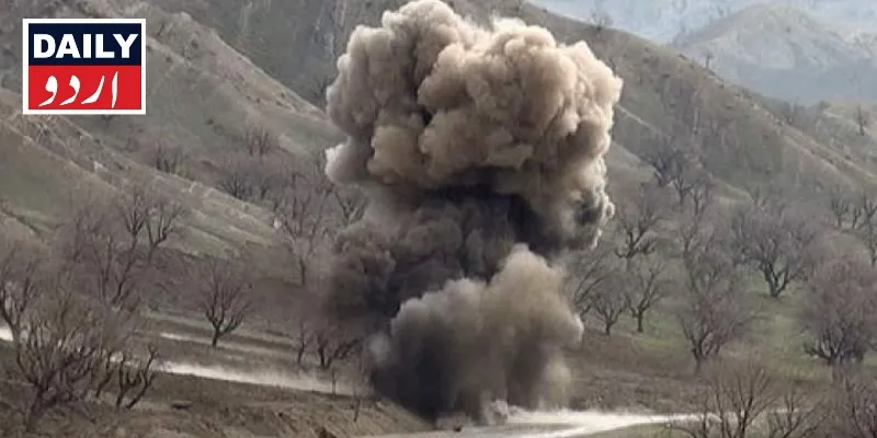 دہشتگردی