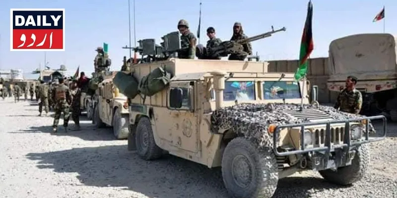 دہشتگردی