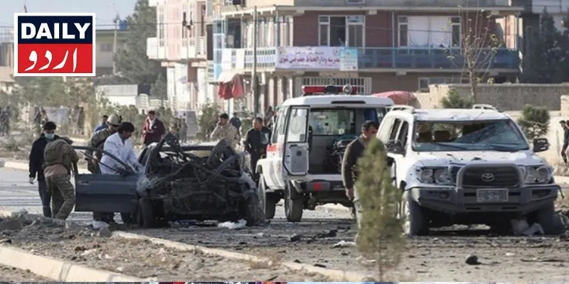 دہشتگردی