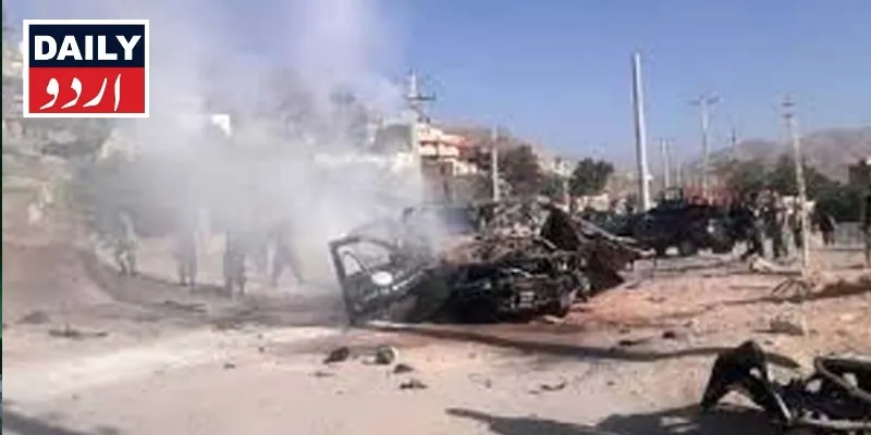 دہشتگردی