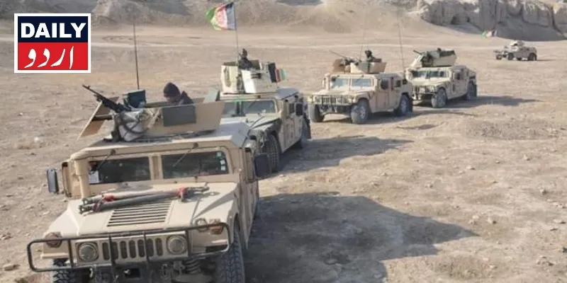 دہشتگردی