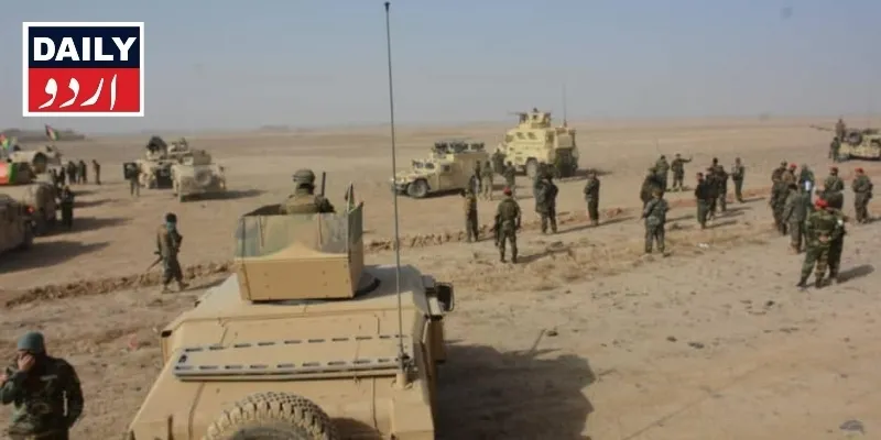 دہشتگردی