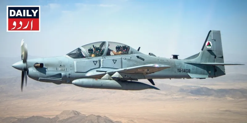 دہشتگردی