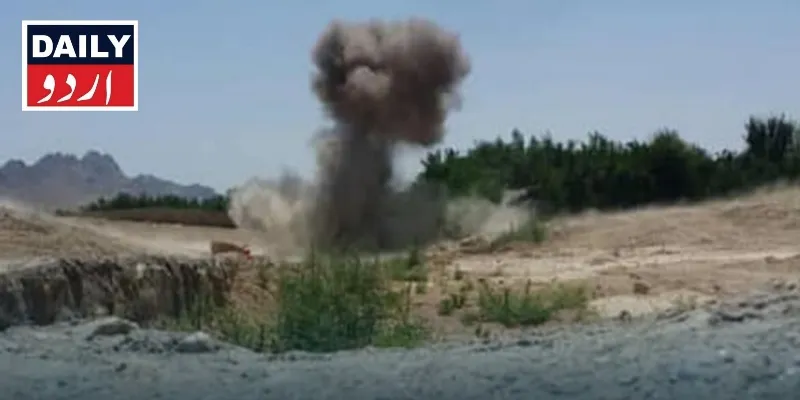 دہشتگردی