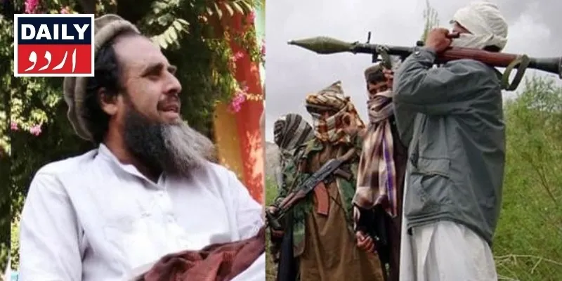 دہشتگردی