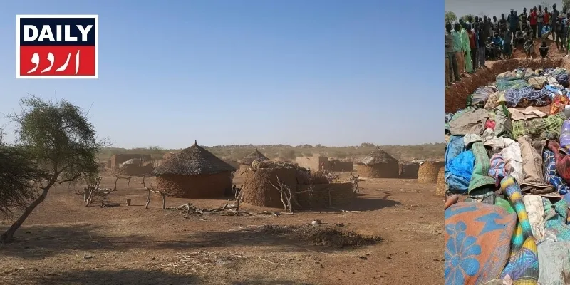 دہشتگردی
