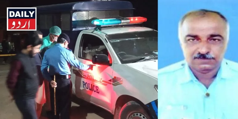 دہشتگردی