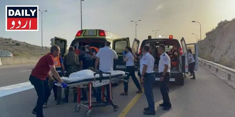 دہشتگردی