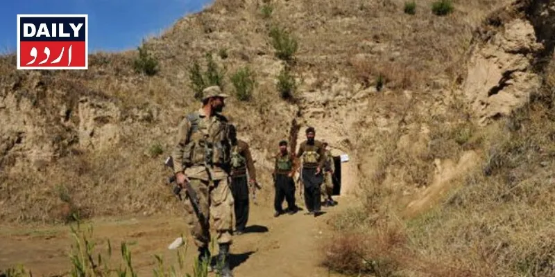 دہشتگردی